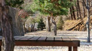 Gapyeong dolgungpensyeon&kaempingjang - 1