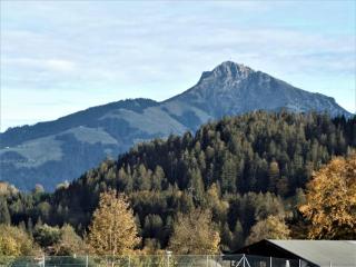 Appartement Bergheim - 2