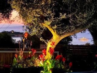 Suite Home Villa Paxos - Gaios - 8