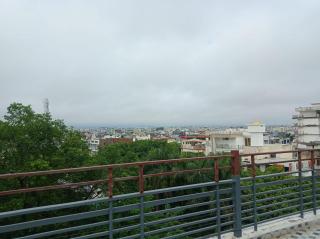 Hotel rose palace - 7
