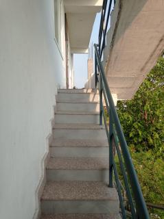 Hotel rose palace - 6