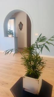 Lulù Marin Rooms - Scalea - 6