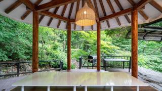Gapyeong Orosi, Forest - 2