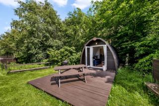 Dreish - Glamping Pod - 4