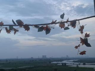AVASA, Comfort by the River - 5