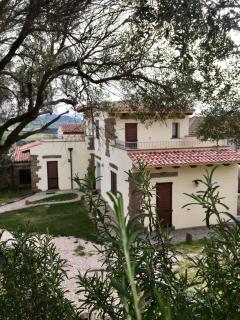 Artemisia Sardegna - 7