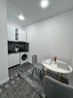APARTMENT Ultra central - 3