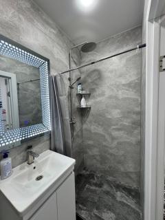 APARTMENT Ultra central - 1