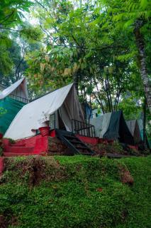 Echo Haven Glamping Tent Munnar - 0
