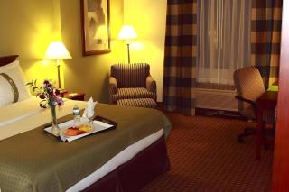 Garden Plaza Hotel - Passaic Junction - 7