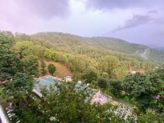Mount Vista Resort - 9