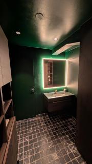 Penthouse in St Hanshaugen, Oslo - 4