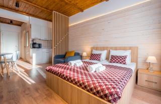 Gudauri Style Lofts - Goudaouri - 8