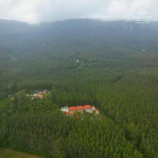 Elegance Homestay - 4
