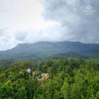 Elegance Homestay - 2