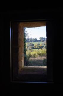 Terre des Ormes - 8