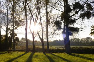 Terre des Ormes - 5
