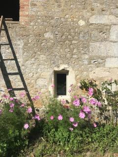 Terre des Ormes - 4