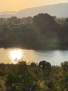 Kruger River and Rail Cottage - 9