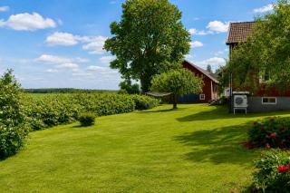 House with 8 beds in Fornasa - 4