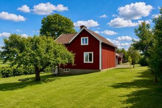 House with 8 beds in Fornasa - 6