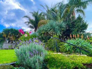 Glendowie Parkside Garden Retreat- near waterfront and top schools - 3