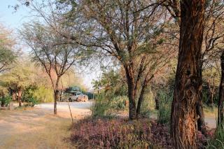 Boteti River Camp - Camp Sites - 5