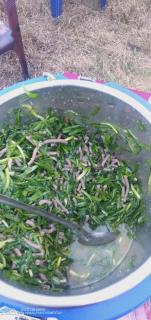 Himalayan Homestay - 3