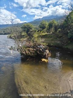 Himalayan Homestay - 1