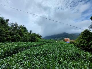 Hope Centre Guest House - 7