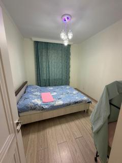 Shakir house - 2