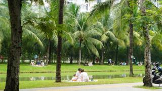 The C House - Cozy & Peaceful Designer - 7