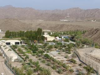 Neem camp - 4