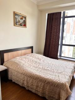 Elegant Apartment in Dilijan - 4