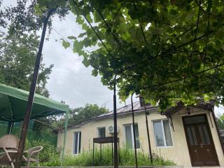 Garden house - 7