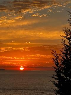 Bluemoon Suites Sarande - Sarandë - 5