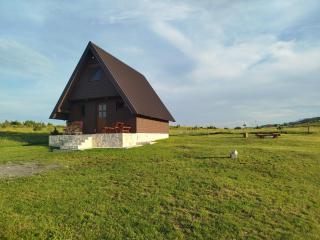 Brown cabin - 9