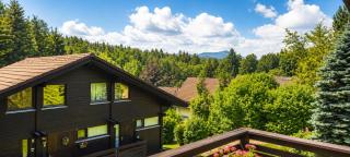 Ferienpark Vorauf Ferienwohnung Zirbelweg 11b - 1