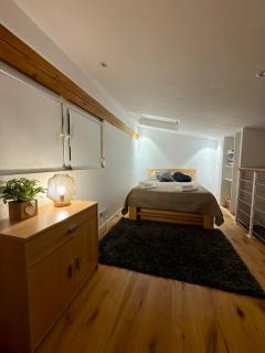 Small Loft house, Mezzanine, Garden, Parking, near Basel - 9