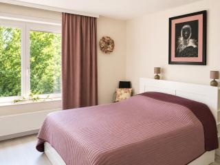 apartment 2 miles from Maastricht - 4