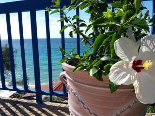 Constantinos Apartments - Lassi - 1