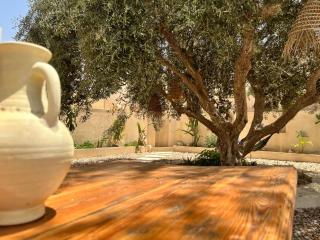 Dar Younes - Houmt Souk - 6