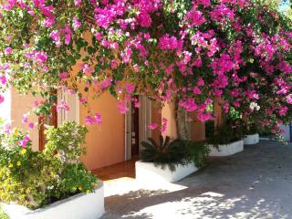 Constantinos Apartments - Lassi - 3