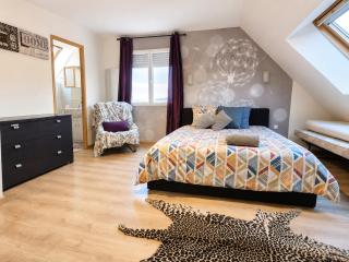 Suites et Chambres Terrasse Parking 20min Orly-45min Paris Disney - 0