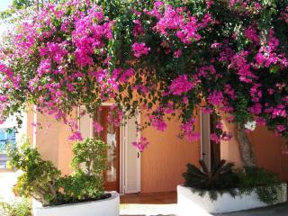 Constantinos Apartments - Lassi - 5