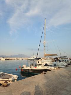 Orange Horizon - 6