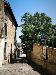 Due Orizzonti - 6