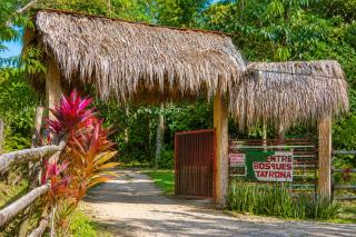 Entre Bosques Tayrona - 7