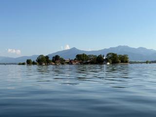 Das versteckte Nest - 8