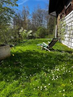 Das versteckte Nest - 7